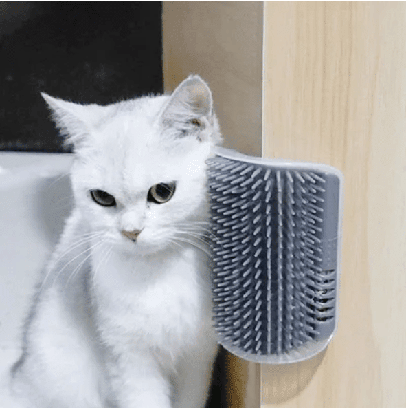PurGroom Cat Brush | Self - Grooming, Stress Relief for Shedding - Hartwella