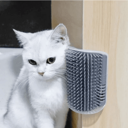 PurGroom Cat Brush | Self - Grooming, Stress Relief for Shedding - Hartwella