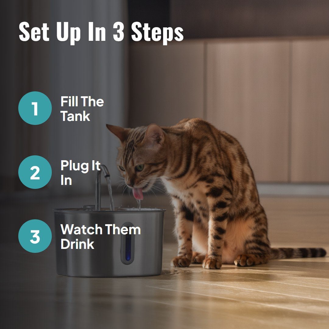 Purrflow™ 2.2L Pet Water Fountain