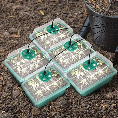 Seda Seed Starter Tray | Grow Light Included - Hartwella