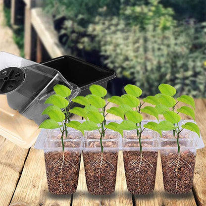 Seda Seed Starter Tray | Grow Light Included - Hartwella