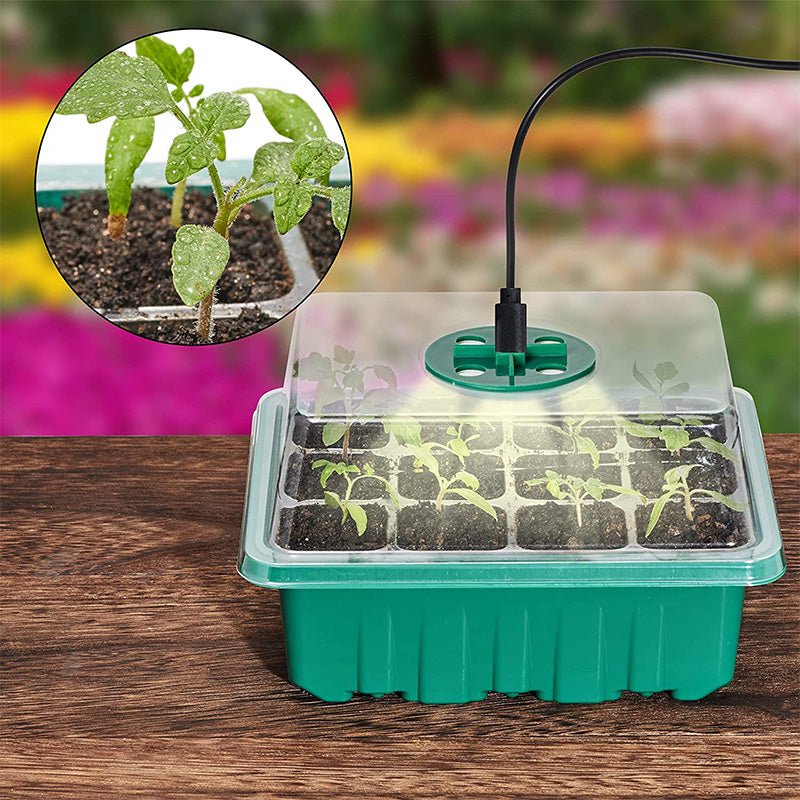 Seda Seed Starter Tray | Grow Light Included - Hartwella