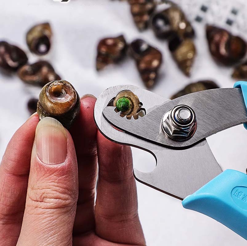Sleek Snail Cutter | Stainless Steel, Ergonomic Design - Hartwella