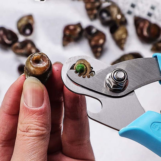 Sleek Snail Cutter | Stainless Steel, Ergonomic Design - Hartwella
