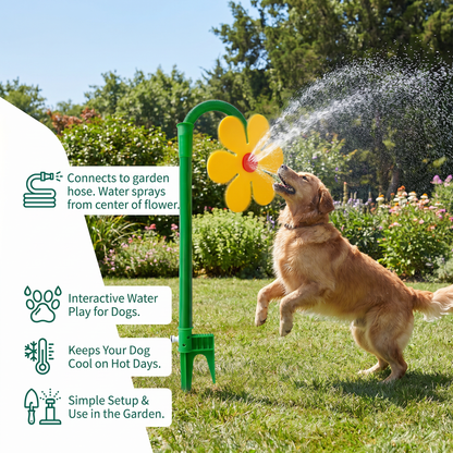 Sunny Sprinkler | Fun Water Play for Dogs - Hartwella