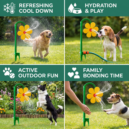 Sunny Sprinkler | Fun Water Play for Dogs - Hartwella