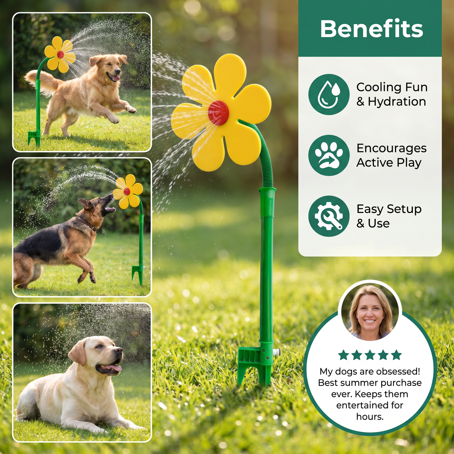 Sunny Sprinkler | Fun Water Play for Dogs - Hartwella