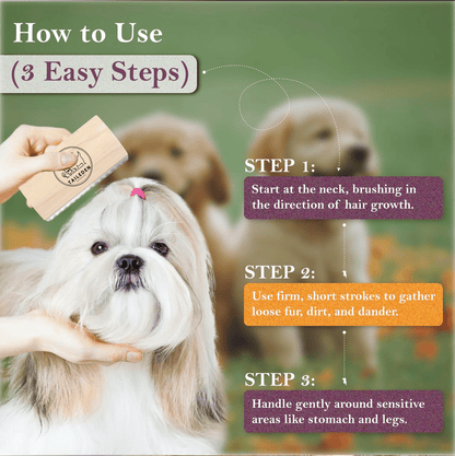 Taily Pet Brush | Wooden Handle, Stainless Steel Deshedding Tool for Cats and Dogs - Hartwella