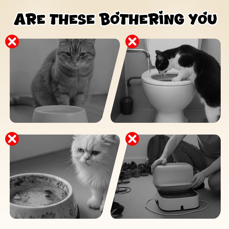 Whimsy Cat Bowl | Wall-Mounted Toilet Design, Stainless Steel - Hartwella